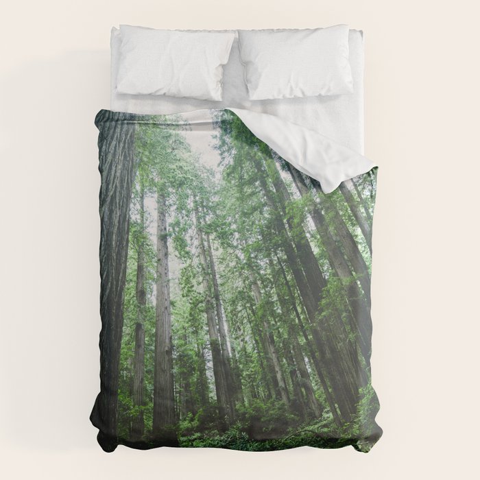 Redwood National Park- Pacific Northwest Nature Photography Duvet Cover Gallery Image 6