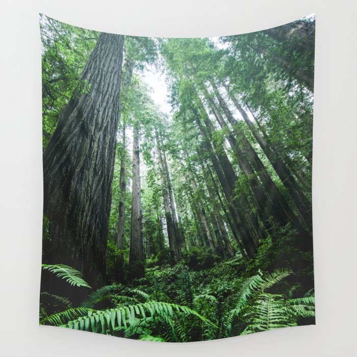 Redwood National Park- Pacific Northwest Nature Photography Wall Tapestry Gallery Image 1
