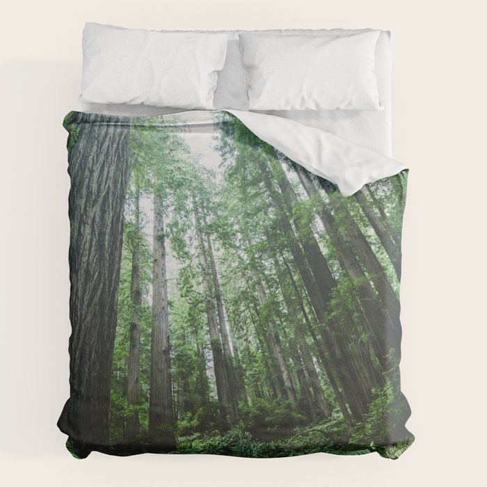 Redwood National Park- Pacific Northwest Nature Photography Duvet Cover Gallery Image 2