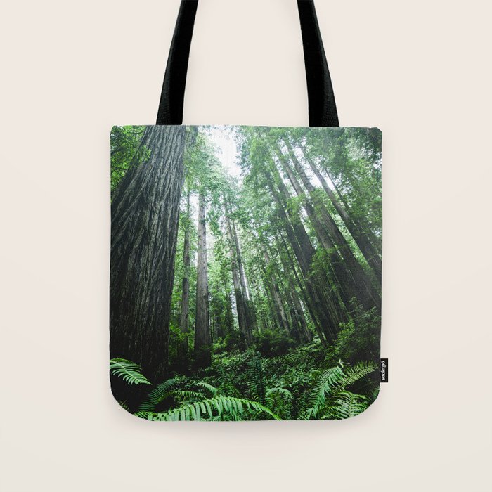 Redwood National Park- Pacific Northwest Nature Photography Tote Bag Gallery Image 1