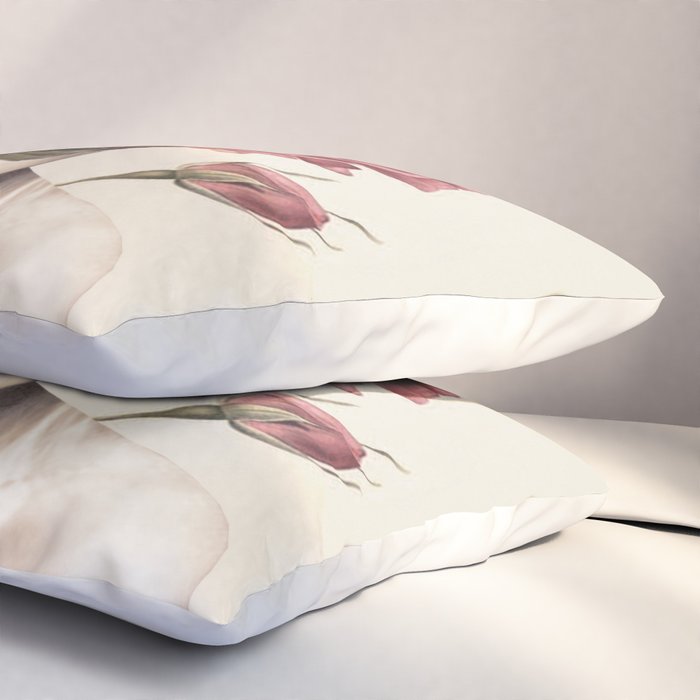 Bloom 3 Pillow Sham Gallery Image 3