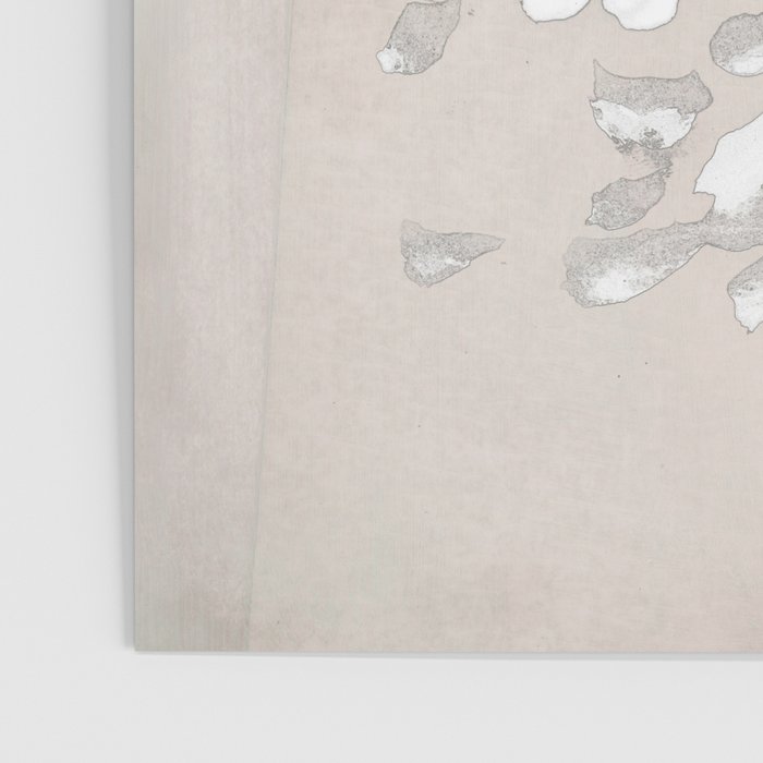 Soft Bloom Poster Gallery Image 3