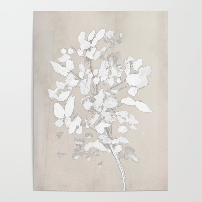 Soft Bloom Poster Gallery Image 4