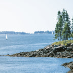 New England Sailing x Maine Coast Coffee Mug Gallery Image 2
