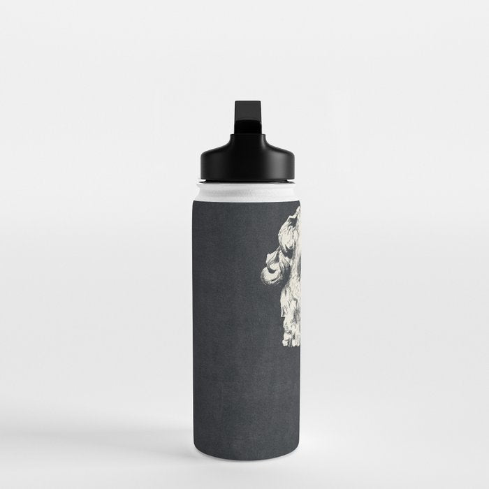 MARCUS AURELIUS ANTONINUS AUGUSTUS / Ink - Dark Water Bottle Gallery Image 3
