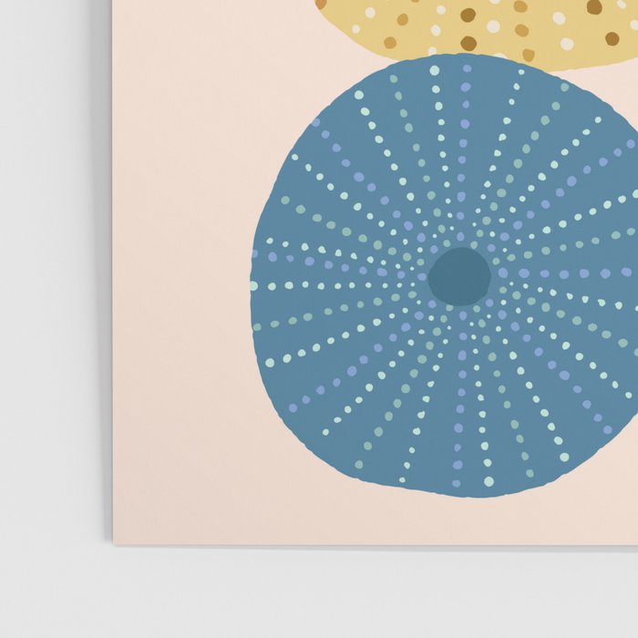 Coloful Sea Urchins 2 Poster Gallery Image 3