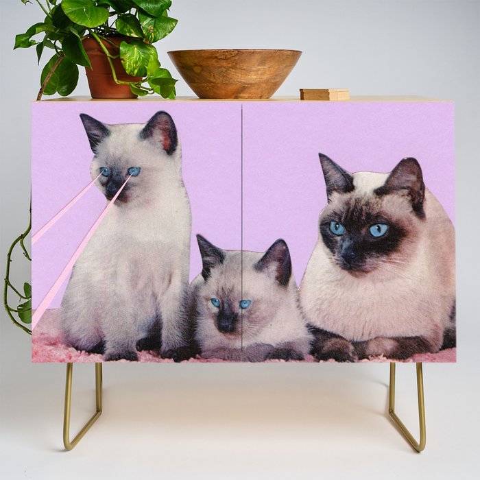 Distracted Credenza Gallery Image 1