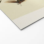 Vintage Fly Fishing Print - Trout Flies Welcome Mat Gallery Image 2