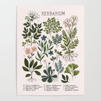 Herbarium ~ vintage inspired botanical art print ~ white Poster Gallery Image 4