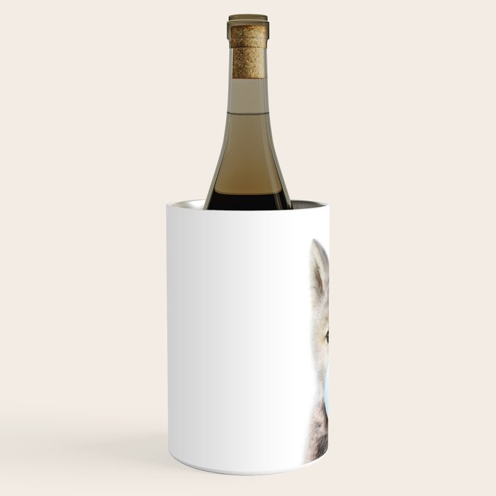 Baby Wolf Blowing Blue Bubble Gum, Baby Boy, Kids, Baby Animals Art Print by Synplus Wine Chiller Gallery Image 2