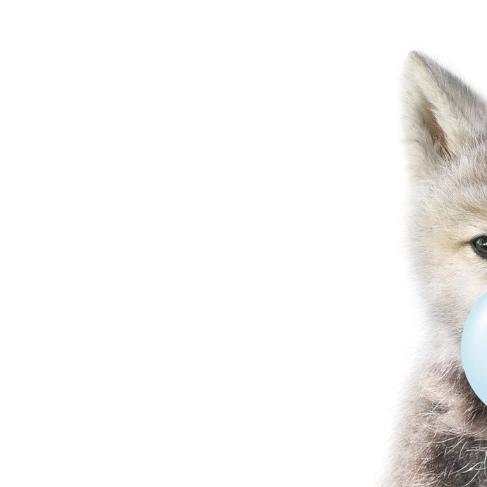 Baby Wolf Blowing Blue Bubble Gum, Baby Boy, Kids, Baby Animals Art Print by Synplus Coffee Mug Gallery Image 2