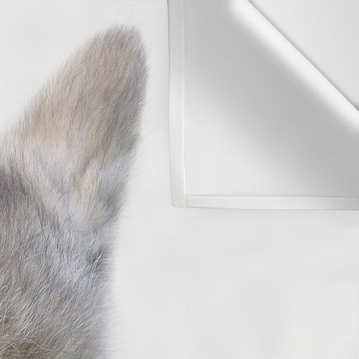 Baby Wolf Blowing Blue Bubble Gum, Baby Boy, Kids, Baby Animals Art Print by Synplus Wall Tapestry Gallery Image 3