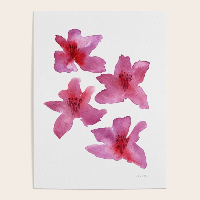 Pink Azaleas Orchid Flower Poster Gallery Image 1