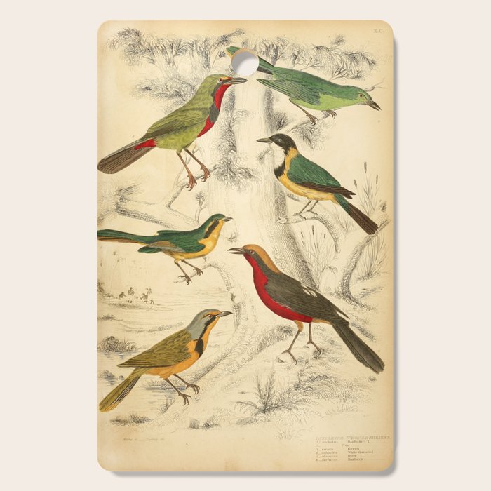 Thrush-shrikes from The Edinburgh Journal, 1835 (benefitting The Nature Conservancy) Cutting Board Gallery Image 1