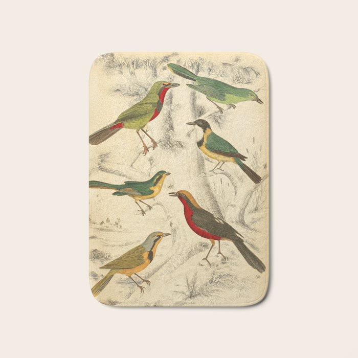 Thrush-shrikes from The Edinburgh Journal, 1835 (benefitting The Nature Conservancy) Bath Mat Gallery Image 1