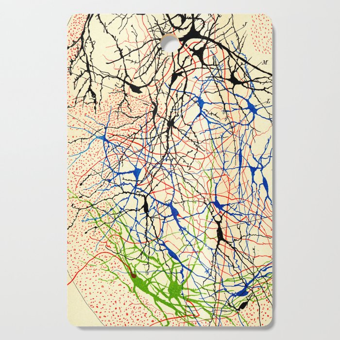 Santiago Ramón Y Cajal Nerve Cells Cutting Board Gallery Image 1
