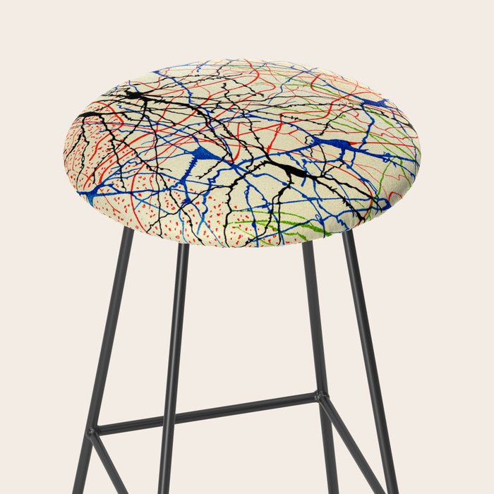 Santiago Ramón Y Cajal Nerve Cells Stool Gallery Image 2