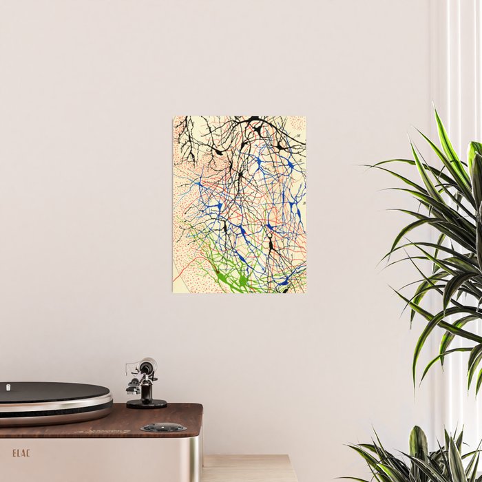 Santiago Ramón Y Cajal Nerve Cells Poster Gallery Image 2