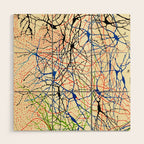Santiago Ramón Y Cajal Nerve Cells Wood Wall Art Gallery Image 1