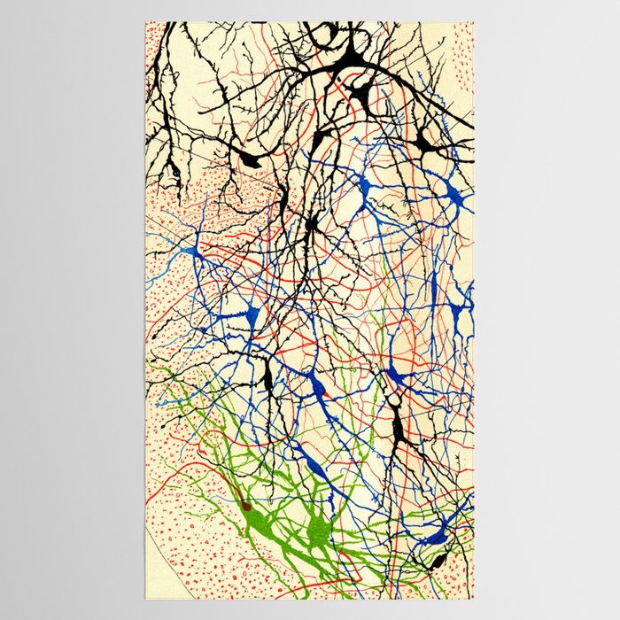 Santiago Ramón Y Cajal Nerve Cells Tablecloth Gallery Image 2