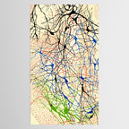 Santiago Ramón Y Cajal Nerve Cells Tablecloth Gallery Image 2