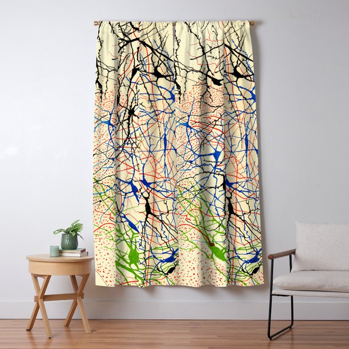 Santiago Ramón Y Cajal Nerve Cells Window Curtain Gallery Image 5