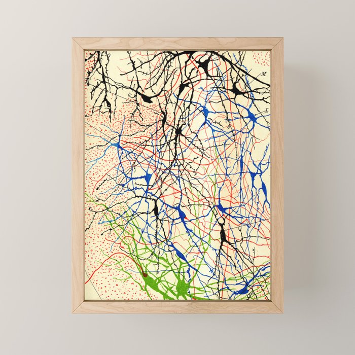 Santiago Ramón Y Cajal Nerve Cells Mini Art Print Gallery Image 1