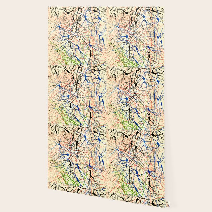 Santiago Ramón Y Cajal Nerve Cells Wallpaper Gallery Image 2