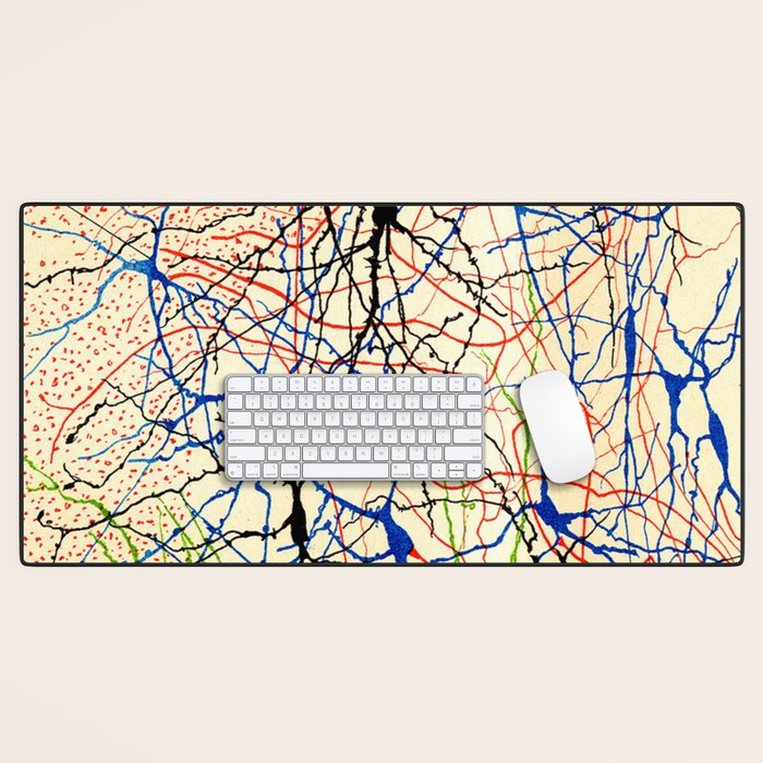 Santiago Ramón Y Cajal Nerve Cells Desk Mat Gallery Image 1