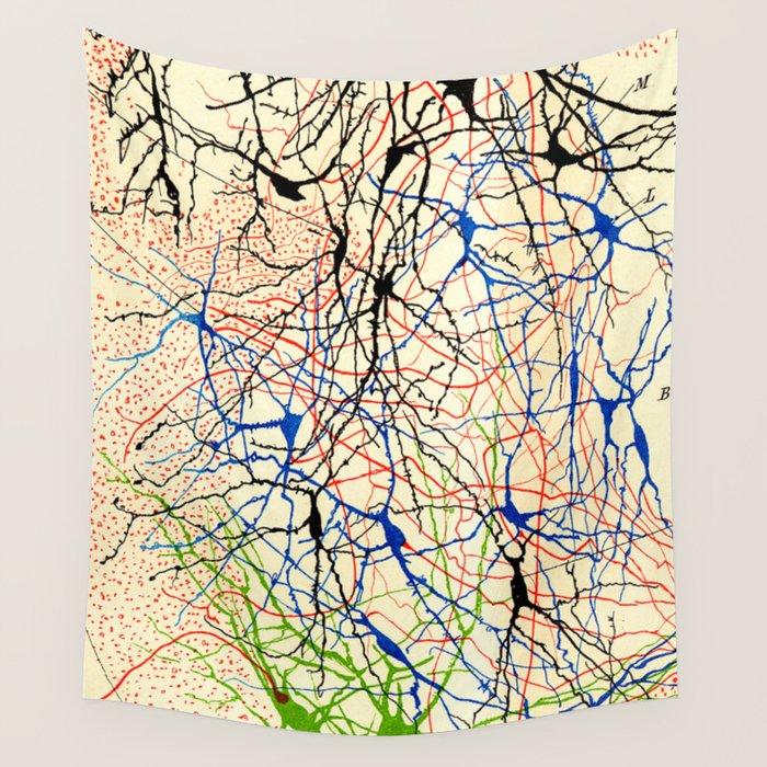 Santiago Ramón Y Cajal Nerve Cells Wall Tapestry Gallery Image 4