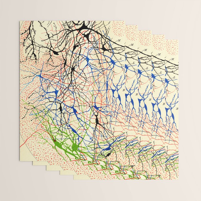 Santiago Ramón Y Cajal Nerve Cells Wrapping Paper Gallery Image 3