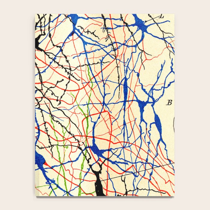 Santiago Ramón Y Cajal Nerve Cells Notebook Gallery Image 4