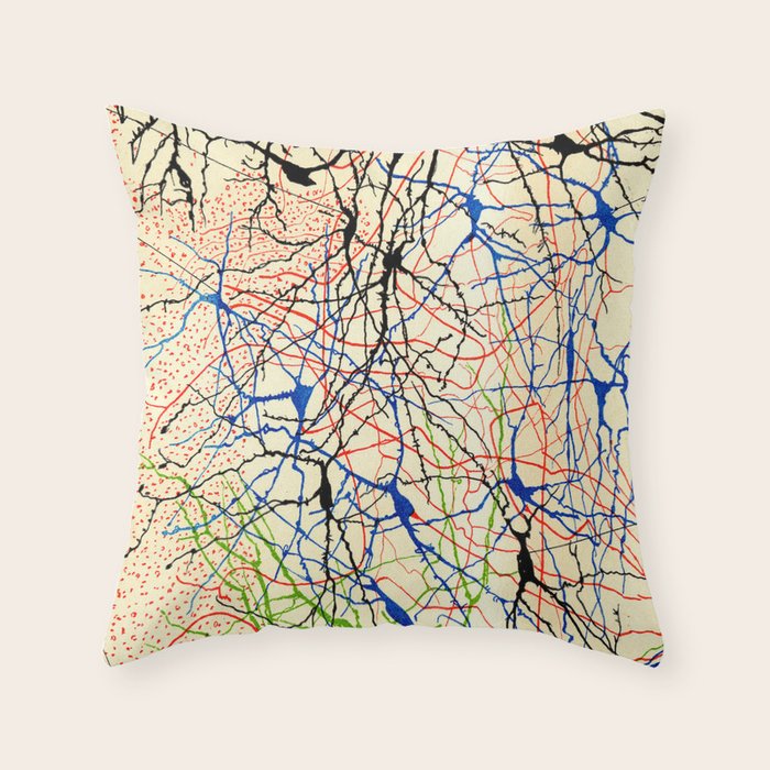Santiago Ramón Y Cajal Nerve Cells Throw Pillow Gallery Image 6