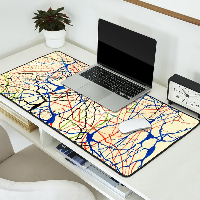 Santiago Ramón Y Cajal Nerve Cells Desk Mat Gallery Image 2