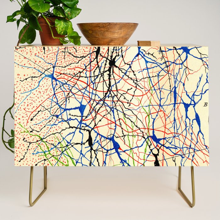 Santiago Ramón Y Cajal Nerve Cells Credenza Gallery Image 1