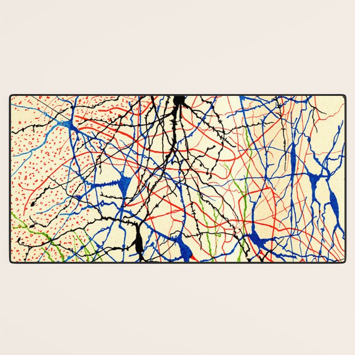 Santiago Ramón Y Cajal Nerve Cells Desk Mat Gallery Image 3