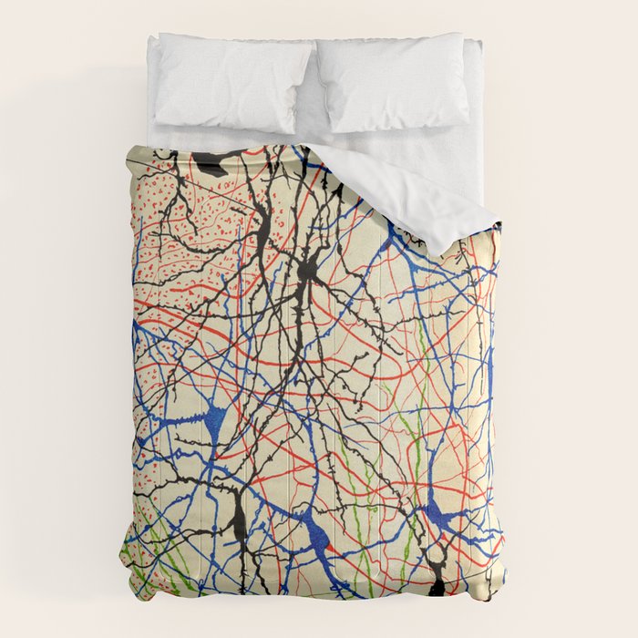 Santiago Ramón Y Cajal Nerve Cells Comforter Gallery Image 6