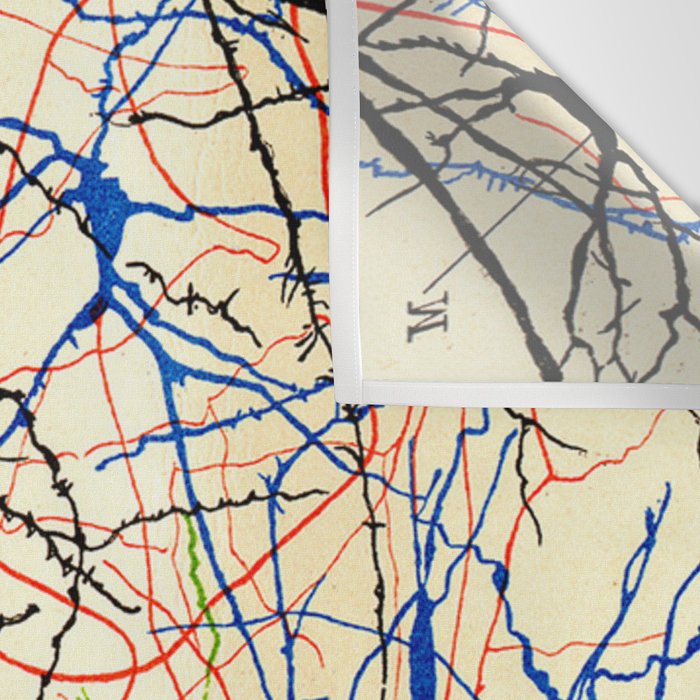 Santiago Ramón Y Cajal Nerve Cells Wall Tapestry Gallery Image 3