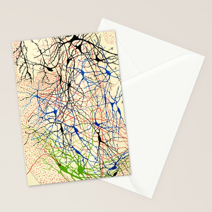 Santiago Ramón Y Cajal Nerve Cells Stationery Card Gallery Image 2