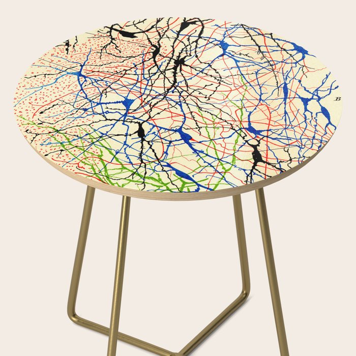 Santiago Ramón Y Cajal Nerve Cells Side Table Gallery Image 2