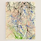Santiago Ramón Y Cajal Nerve Cells Jigsaw Puzzle Gallery Image 1