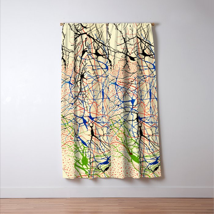 Santiago Ramón Y Cajal Nerve Cells Window Curtain Gallery Image 3