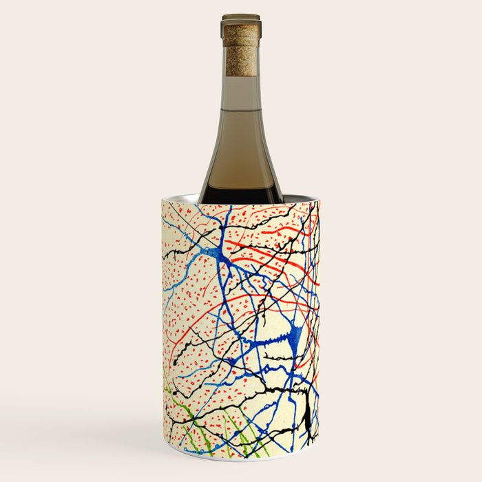 Santiago Ramón Y Cajal Nerve Cells Wine Chiller Gallery Image 2
