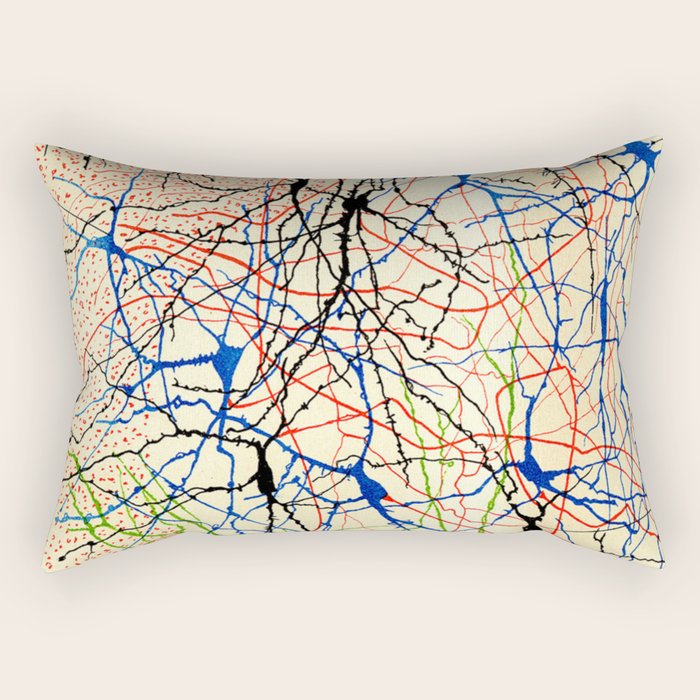 Santiago Ramón Y Cajal Nerve Cells Rectangular Pillow Gallery Image 1