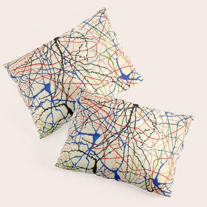 Santiago Ramón Y Cajal Nerve Cells Pillow Sham Gallery Image 1