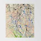 Santiago Ramón Y Cajal Nerve Cells Throw Blanket Gallery Image 2