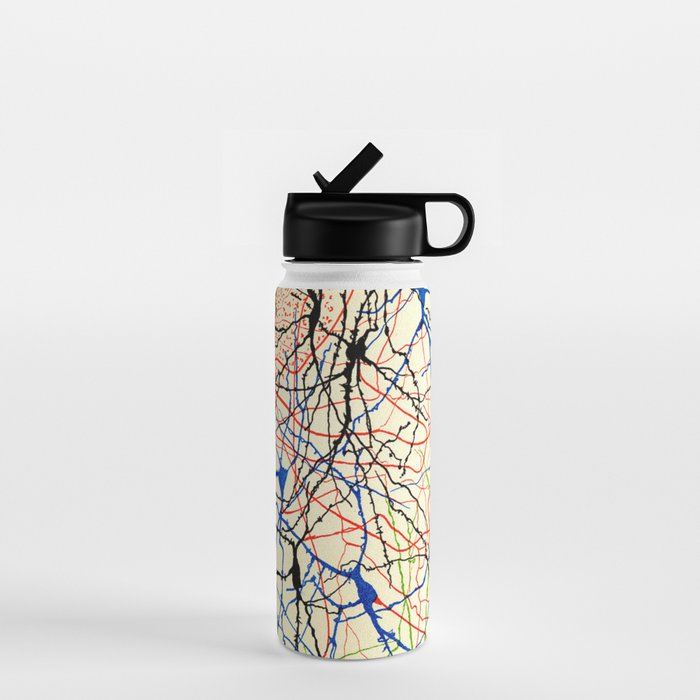 Santiago Ramón Y Cajal Nerve Cells Water Bottle Gallery Image 1