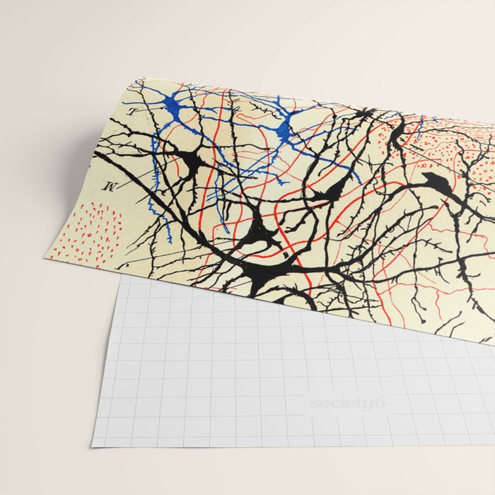 Santiago Ramón Y Cajal Nerve Cells Wrapping Paper Gallery Image 2