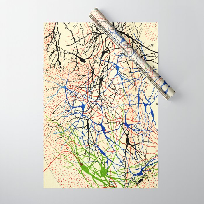 Santiago Ramón Y Cajal Nerve Cells Wrapping Paper Gallery Image 1