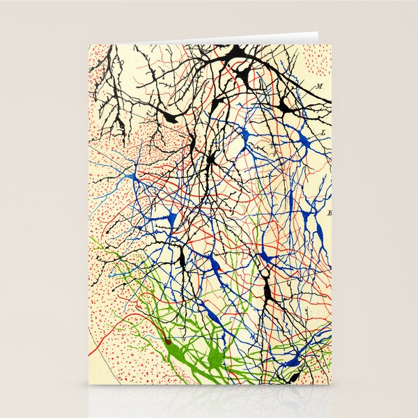 Santiago Ramón Y Cajal Nerve Cells Stationery Card Gallery Image 1